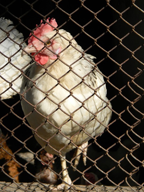 主优化词-湖北队力挫强敌赢得信心